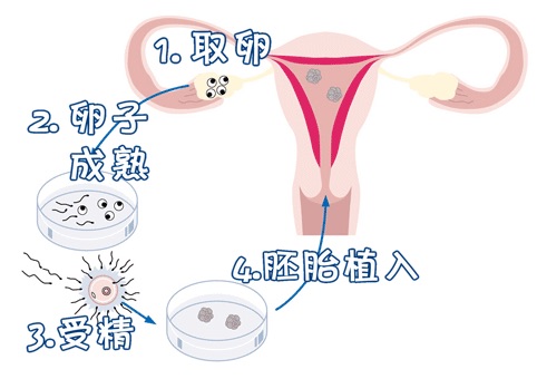 实验室环境